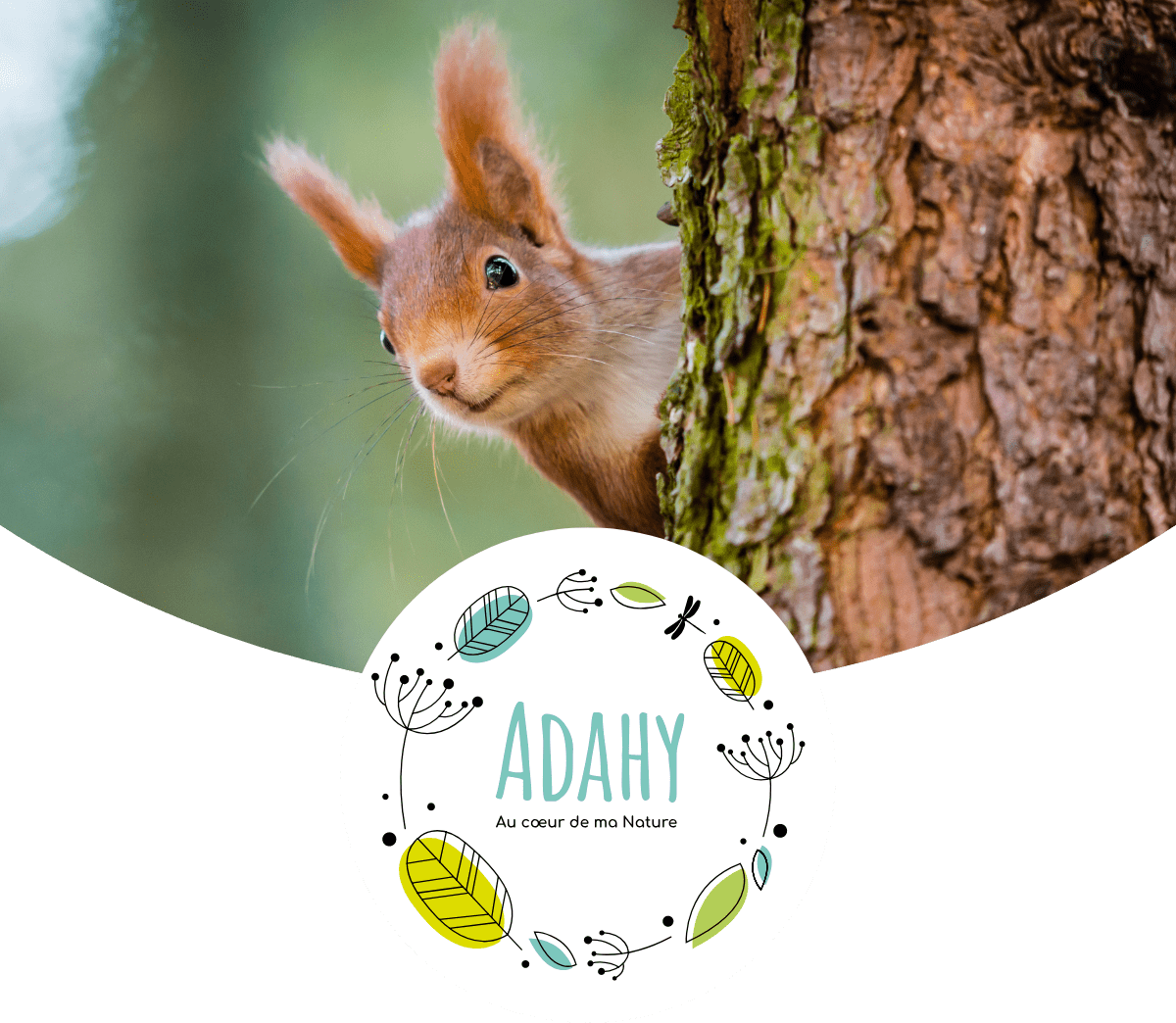 Blog - Adahy | Au coeur de ma nature
